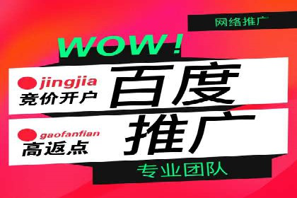 百度推广运营优化：实战案例深度剖析
